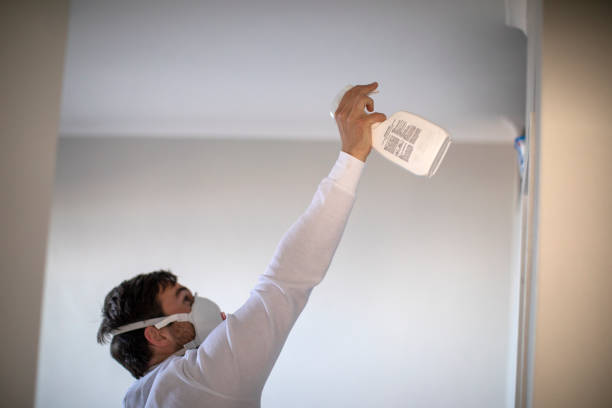 Best Mold Removal Company Near Me  in Abingdon, VA