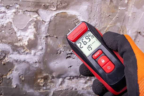 Best Mold Remediation  in Abingdon, VA