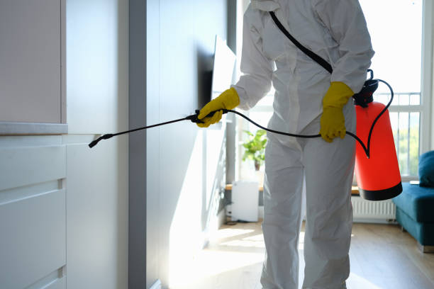 Crawl Space Mold Removal in Abingdon, VA