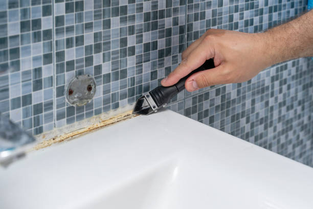 Best Local Mold Removal Service  in Abingdon, VA