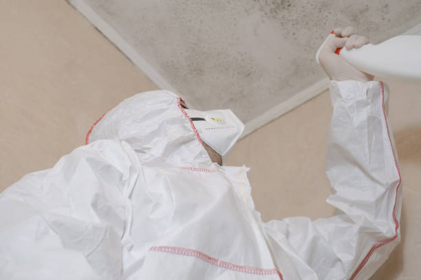 Best Commercial Mold Removal  in Abingdon, VA