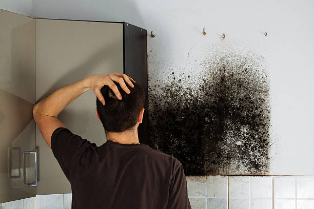 Best Emergency Mold Removal  in Abingdon, VA